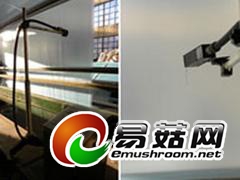 食用菌专用膜_食用菌专用膜生产厂家_食用菌专用膜最新报价图1