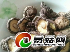 安徽金寨供应山林香菇图1