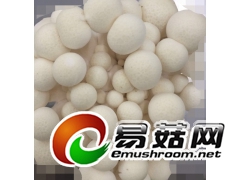 白玉菇增产剂 日本农协推荐用可增产30%以上图2
