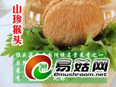 有机猴头菇黑龙江产地直供图2