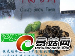 黑木耳东北黑木耳批发零售招代理图2