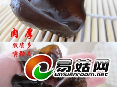 黑木耳东北黑木耳批发零售招代理图3