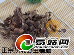 野生榛蘑干货图1