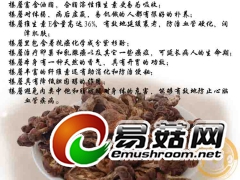 野生榛蘑干货图2