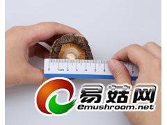 供应兴利干香菇食用菌肉厚平根香菇干货香菇批发加盟香菇供应商图1