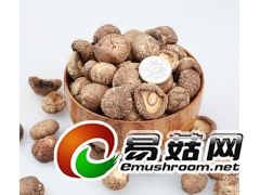 供应兴利干香菇食用菌肉厚平根香菇干货香菇批发加盟香菇供应商图2