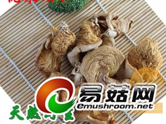 元蘑东北野生元蘑批发零售招代理图3