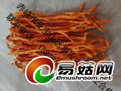 基地批发零售北虫草虫草花图3