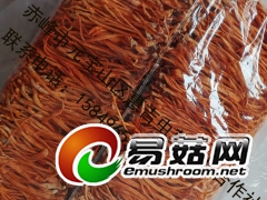 基地批发零售北虫草虫草花图1