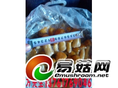 盐渍大球盖菇图3