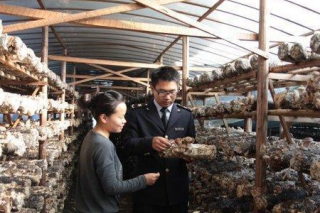 麗水出口韓國(guó)食用菌遇“寒冬”  貨值較去年縮水過半 ()
