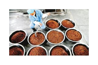 山西垣曲：企業(yè)推出香菇深加工產(chǎn)品  搶占春節(jié)市場(chǎng) ()