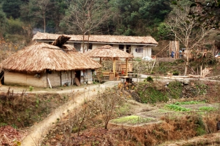 在發(fā)展中傳承：龍泉建成全國(guó)首個(gè)香菇砍技藝生產(chǎn)性保護(hù)基地 ()
