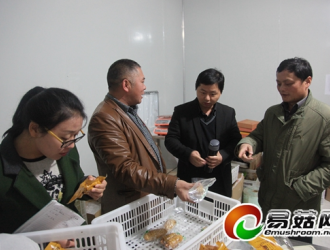 全国天麻会议组委会工作人员前往贵州乌蒙腾菌业有限公司进行实地考察 ()