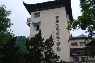 庆元香菇博物馆将举办菌菜养生文化专题展览 ()