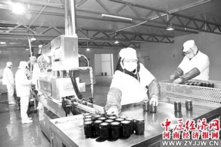河南镇平：食用菌企业推出西班牙口味的香菇酱  主攻欧洲市场 ()