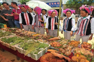 云南南华野生菌产业多举措促品牌化发展 ()