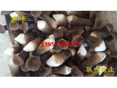 新鲜黑皮鸡枞菌 鸡枞菌栽培技术 人工种植鸡枞菌图2