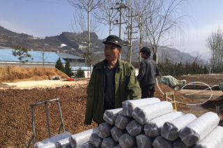 甘肃两当县：食用菌精准扶贫  上交完美成绩单 ()