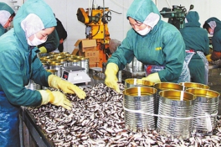 河南省西峡县：香菇罐头出口势头猛 ()