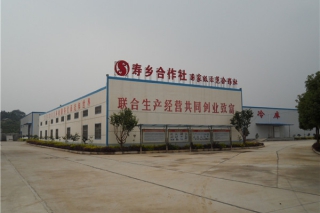湖北寿乡食用菌合作社新品种供应不断 ()