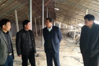 山东省食用菌协会会长庞茂旺到聊城考察指导工作 ()