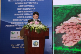 李讃中博士：韩国平菇的变迁史和发展现状 (3)
