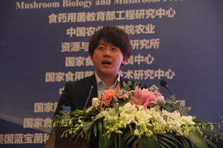 坂戸純先生：关于日本培养中心模式的袋式栽培 (2)