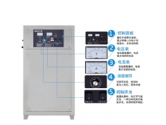 杏鲍菇工厂化净化车间臭氧发生器图2