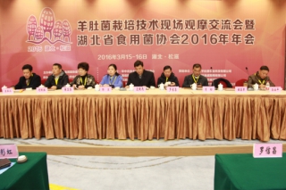2016羊肚菌栽培技术现场观摩交流会在湖北松滋开幕 ()