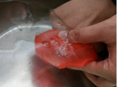 食用菌袋栽液体菌种无菌防菌增氧封口膜打孔接种机代替棉塞棉盖图2