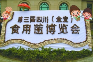 食用菌产业也需供给侧改革 ()