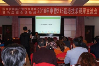 香菇品种“申香215”在河南驻马店等主产区进行现场示范及技术培训 ()