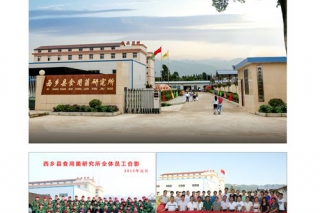 陕西省西乡县食用菌研究所助力2016第四届全国天麻会议 ()