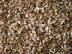 大量供应烘干平菇（4X4）欢迎洽谈图1