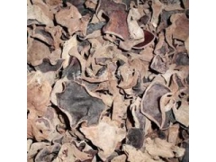 山东郓城县佳耀木耳合作社图1