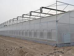 贵港蔬菜大棚_创新型的广西温室大棚推荐图1