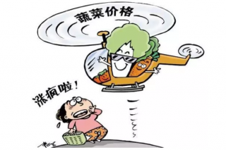 蔬菜涨价捧红“新四菌” ()