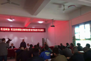乾县组织食用菌栽培技术专业培训 ()