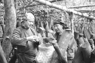 菇民部落的守望者  ——探访香菇砍花技艺生产性保护基地 ()