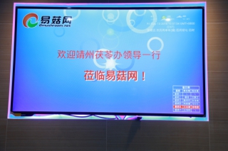 第二届全国茯苓会议筹备座谈会在武汉召开 ()