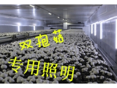 金星食用菌专用照明耐高温高湿LED菇房专用防水灯植物生长专用图3