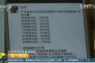 “千木灵芝”非法集资 9万人被骗41亿 ()