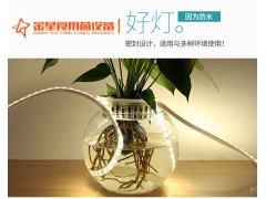 食用菌防水照明LED灯带图1
