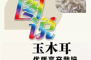 李玉院士新书《玉木耳优质高产栽培》发售  欲购从速 ()
