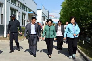 全国政协副主席李海峰率国家各部委领导对北味集团进行考察 ()