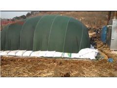 食用菌机械 2016新款铁制常压灭菌锅炉 香菇袋料灭菌蒸汽炉图3