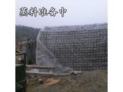 香菇平菇蘑菇木耳菌袋蒸汽灭菌锅炉图2