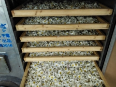 香菇烘干机 黑木耳烘干机 食用菌烘干机图2