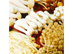 香菇烘干机 黑木耳烘干机 食用菌烘干机图3